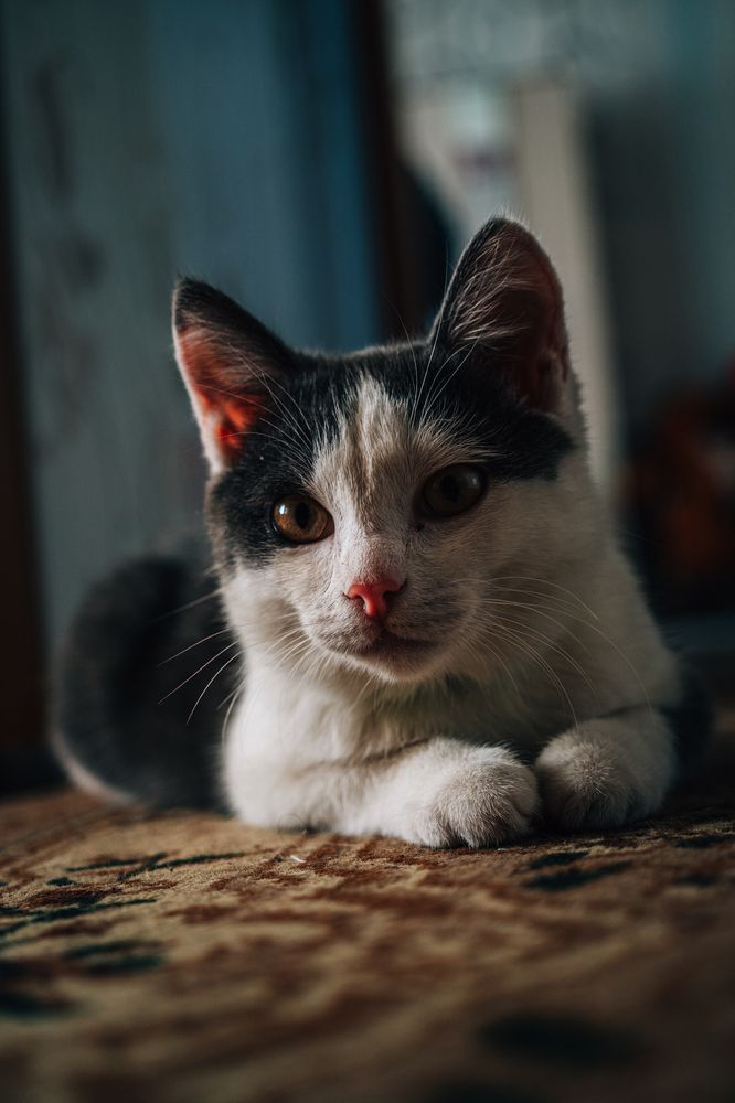 Photograph by Vladimir Bezborodov