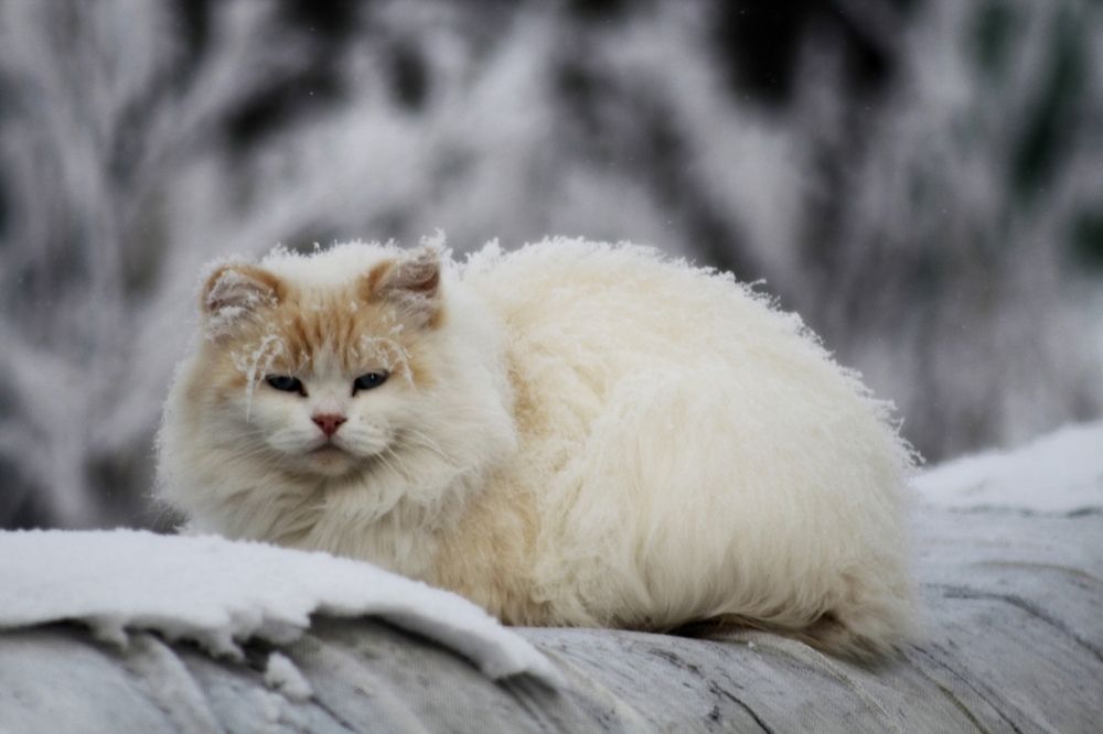 Photograph by Александр Чернов