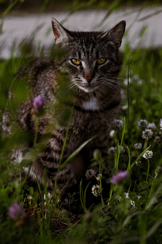 Photograph by Елизавета Шипулина