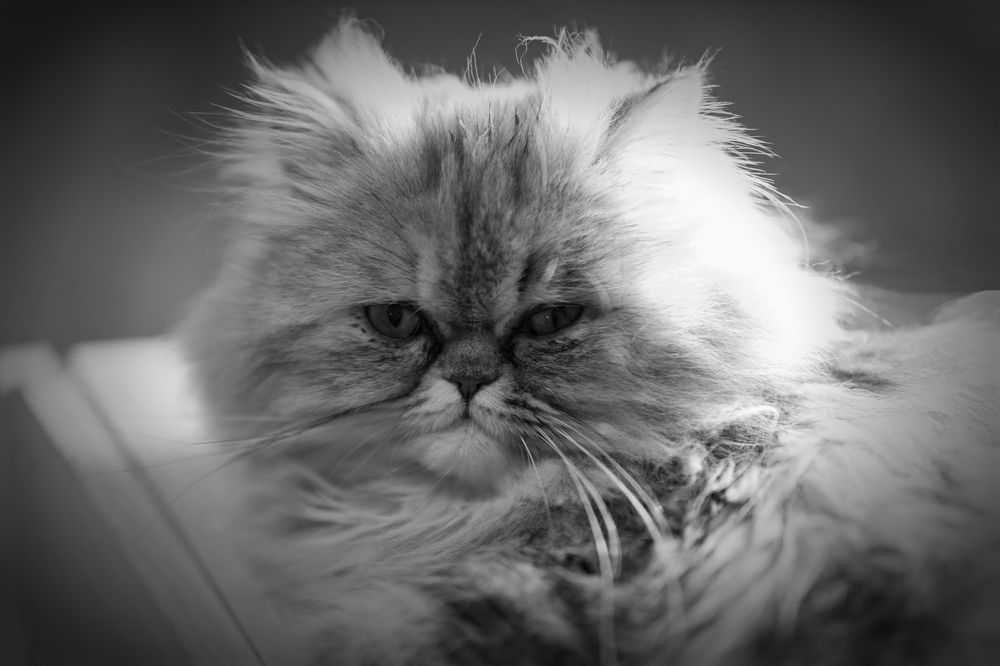 Photograph by Дмитрий Копытин