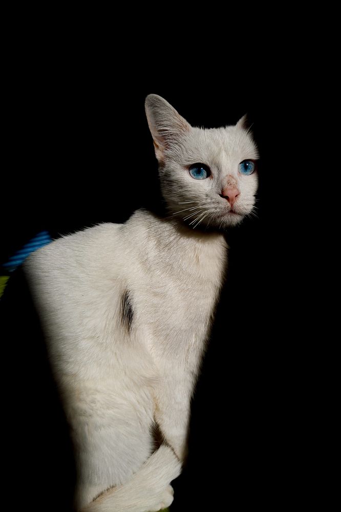 Photo #12237888