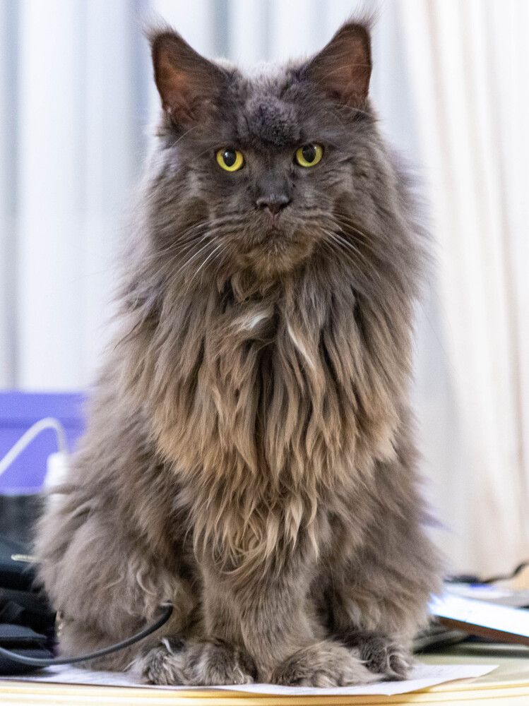 Photograph by Василий Писарев