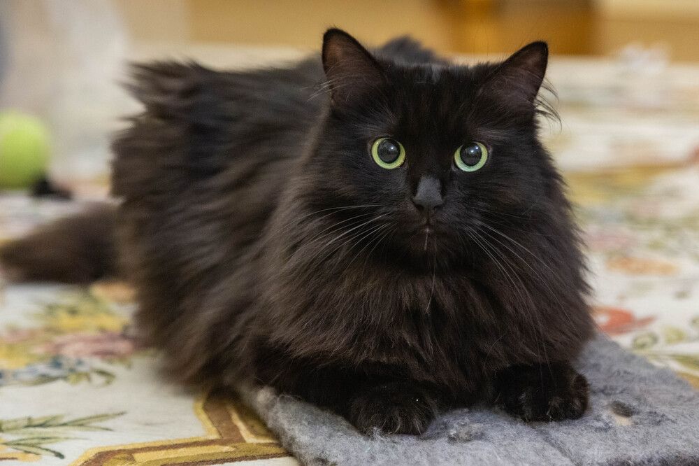 Photograph by Василий Писарев