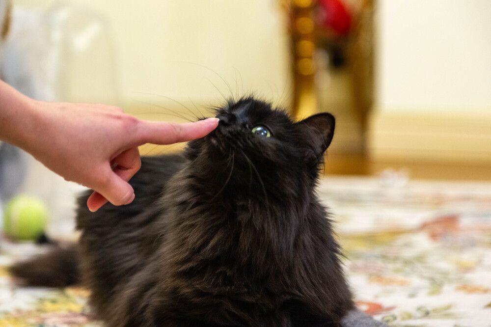 Photograph by Василий Писарев