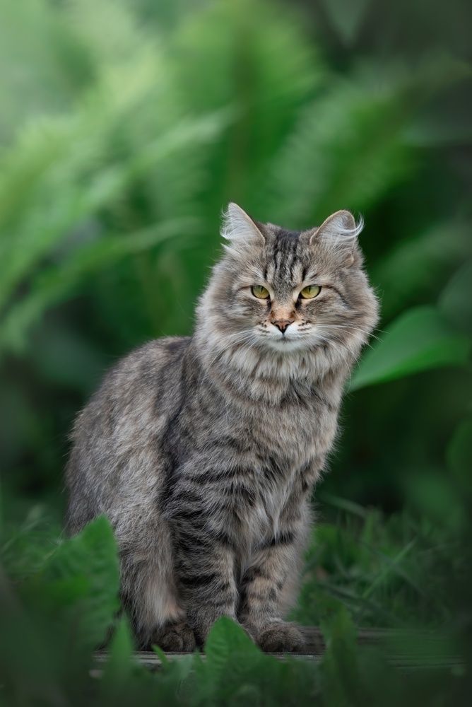 Photograph by Дарья