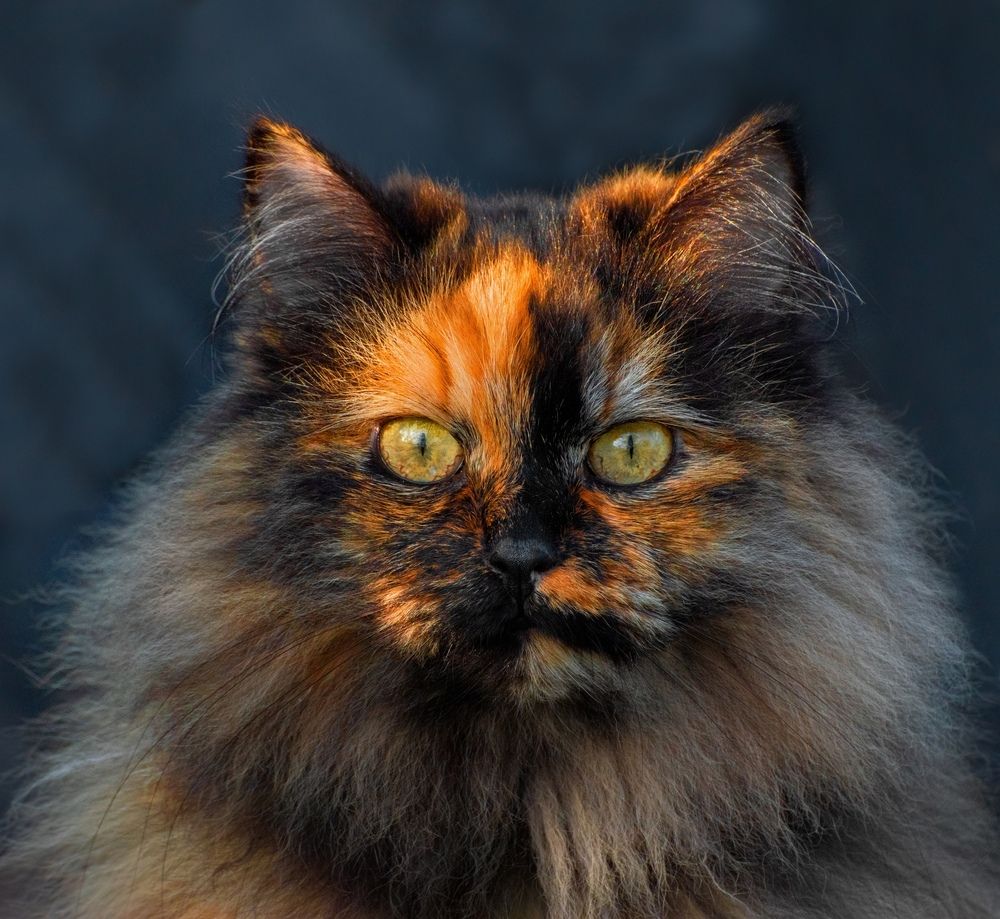 Photograph by Дарья