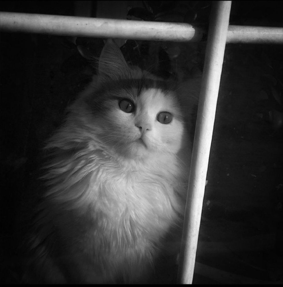 Photograph by Jaroslav Rudakov