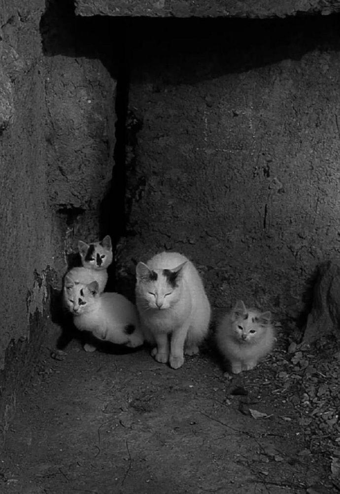 Photograph by Jaroslav Rudakov