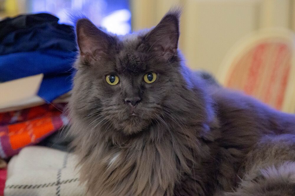 Photograph by Василий Писарев