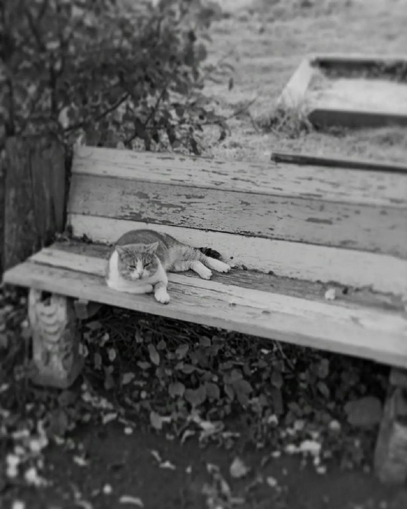 Photograph by Jaroslav Rudakov