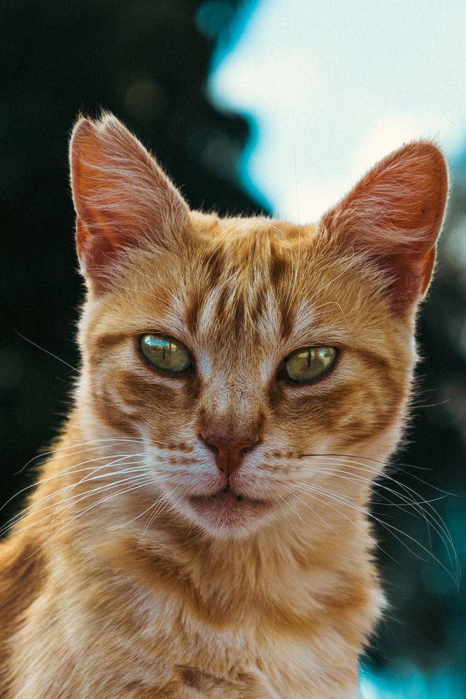 Photograph by Александр Люмьер