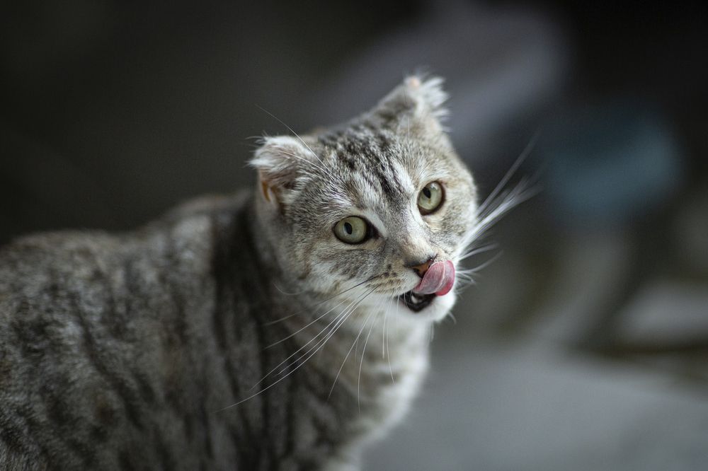 Photograph by Ева Золотова