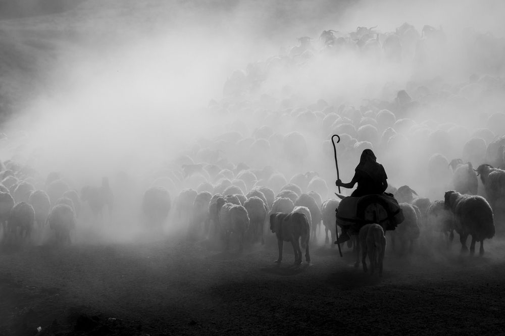 Photograph by Erhan Kalkandelen