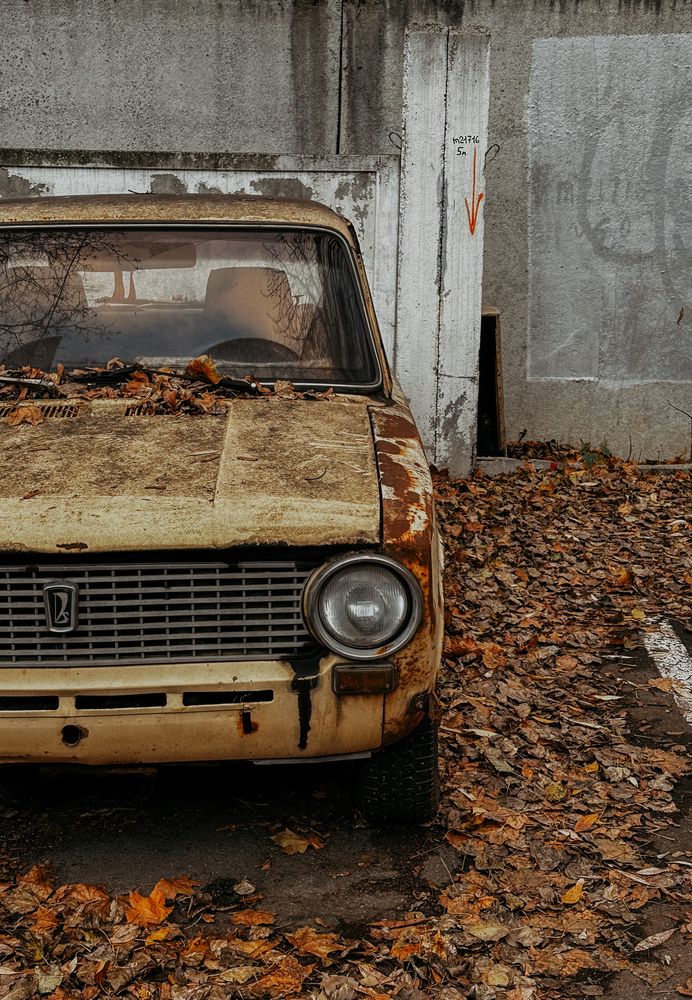 Photograph by Мария Петрова