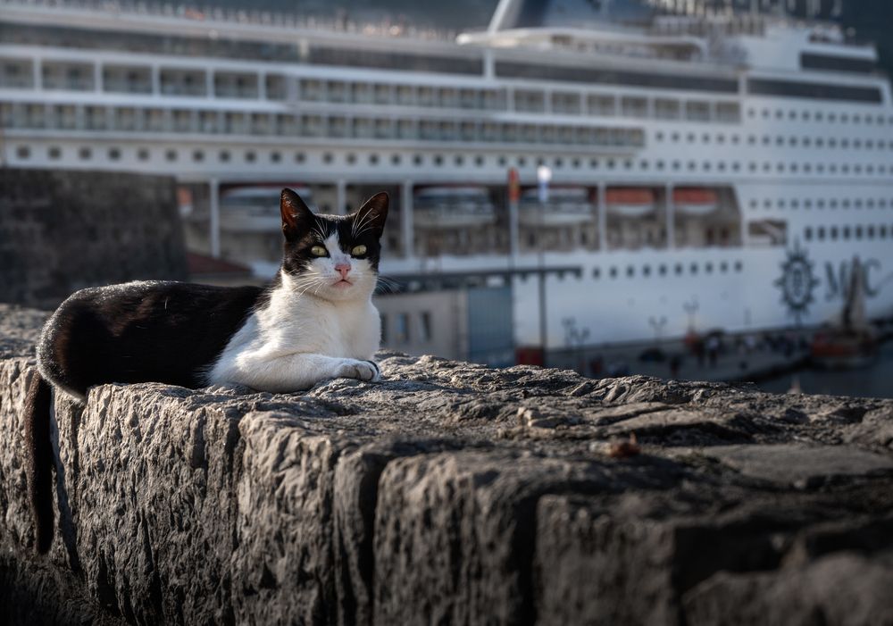 Photograph by Анна Стрелковская