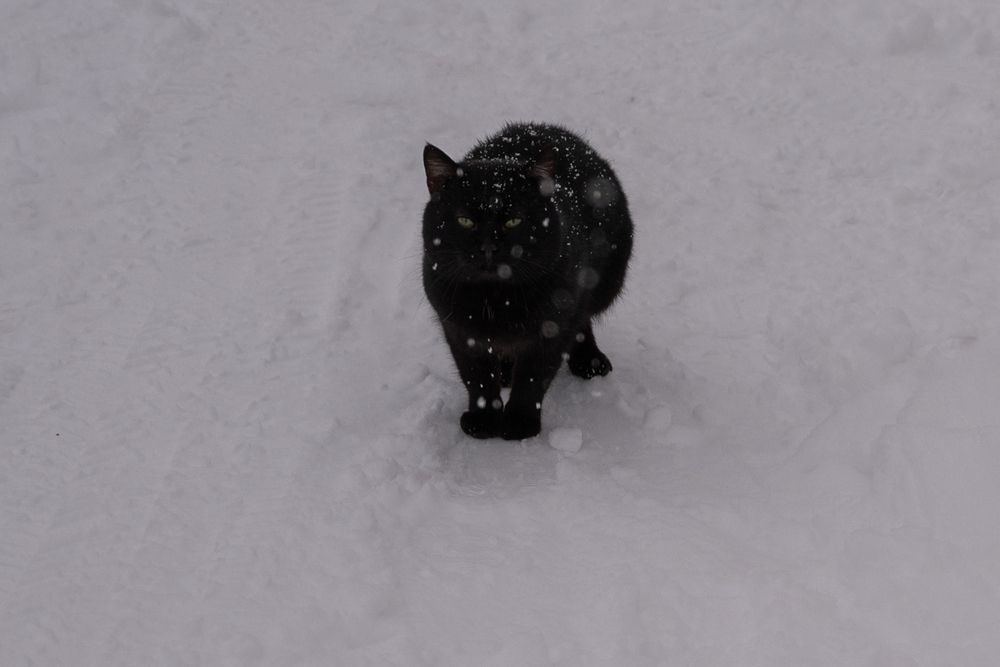 Photograph by Анна Архангельская