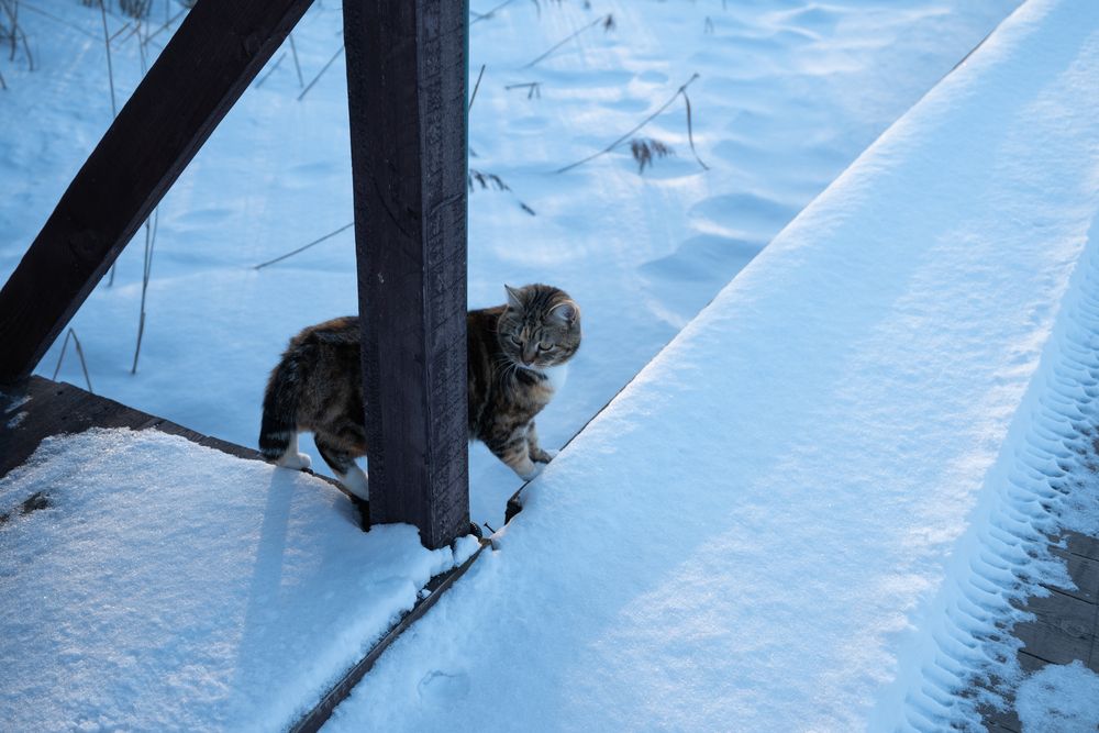 Photograph by Анна Архангельская