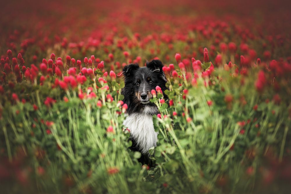 Photograph by Lucie Nermuťová