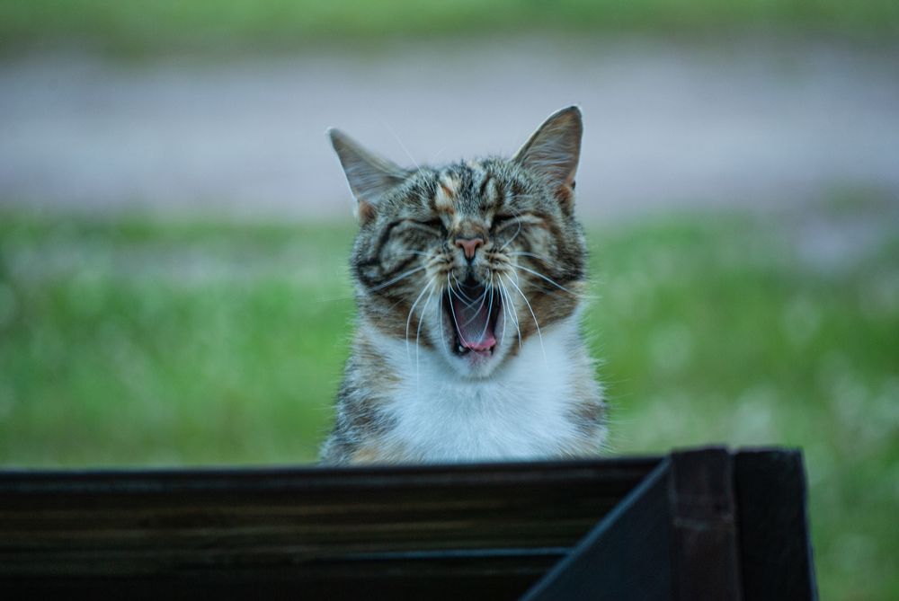 Photograph by Анна Архангельская