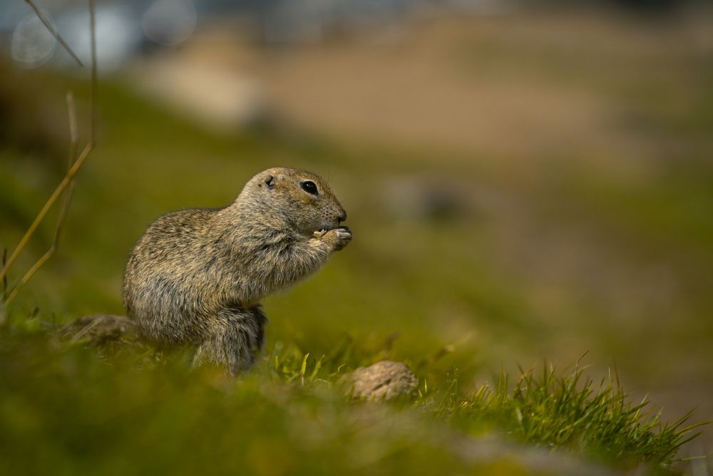 Photograph by Анастасия Зайчуковская