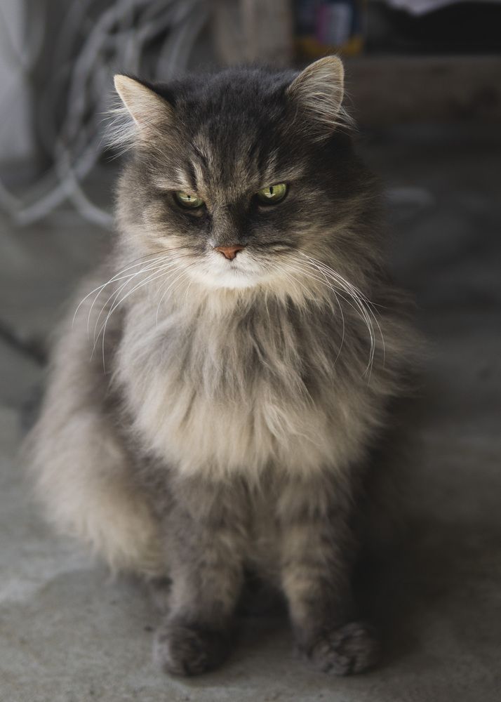 Photograph by Rice Baron