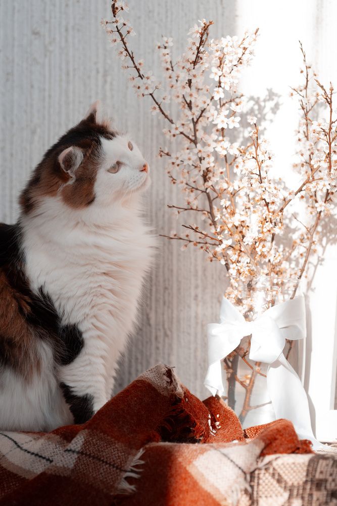 Фотография автора Наталья Почтенная