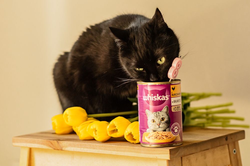 Photograph by Людмила Колесниченко