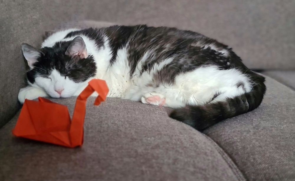 Photograph by Tatyana Pomogaeva