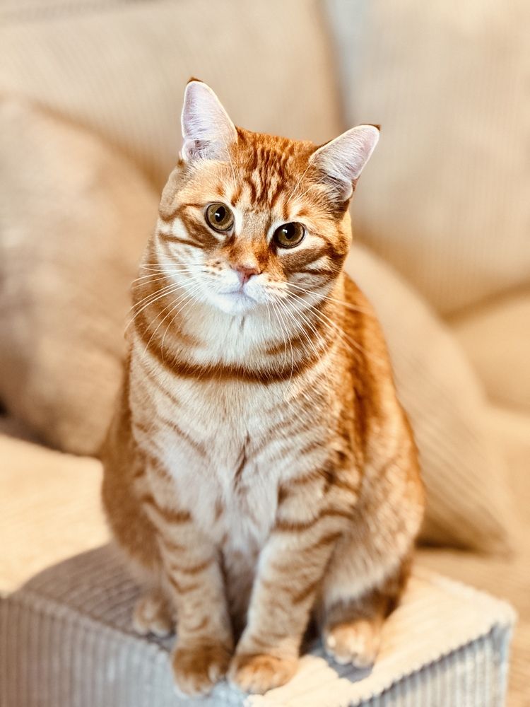 Photograph by Tatyana Pomogaeva