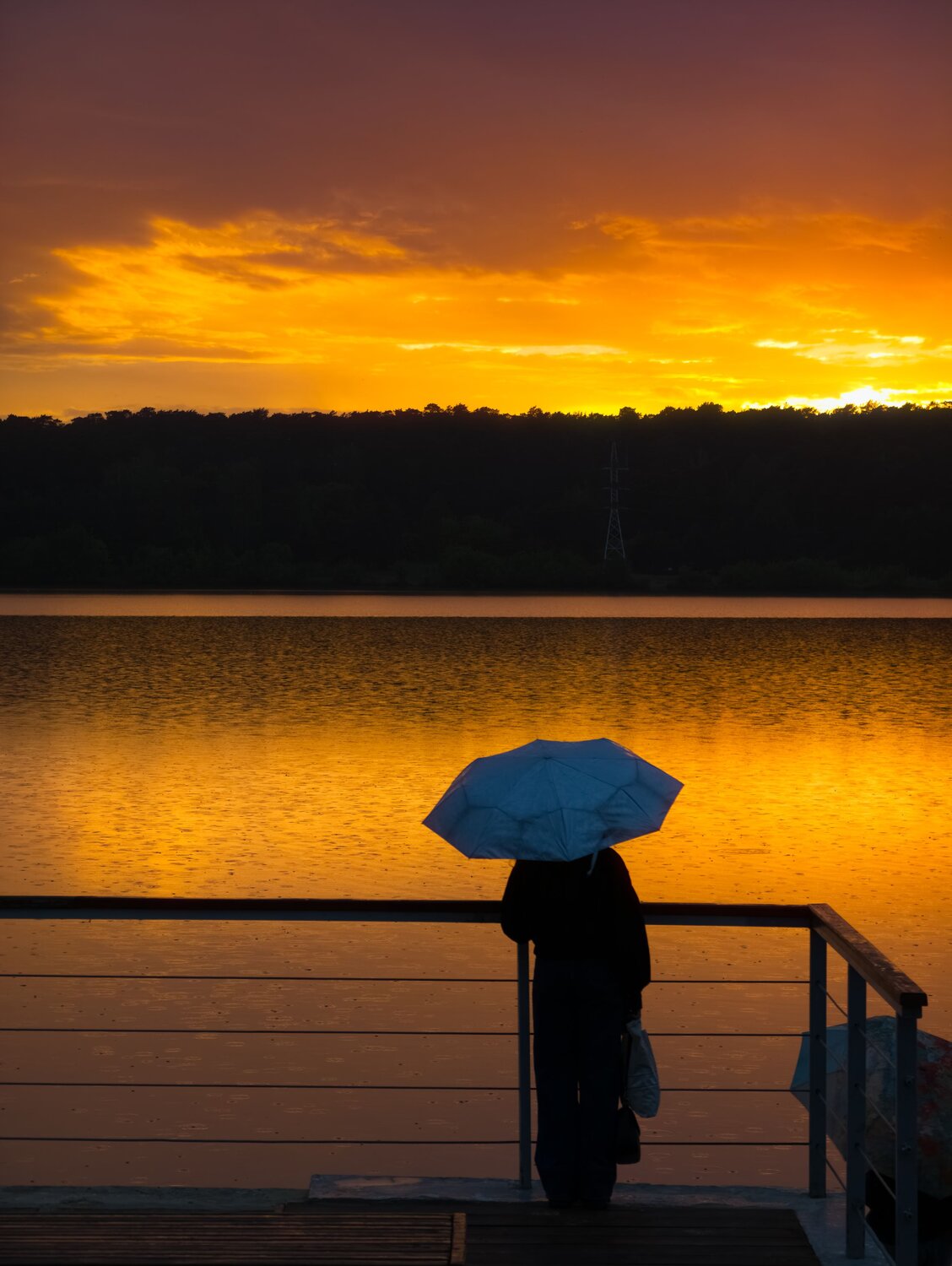 Photo #12238256
