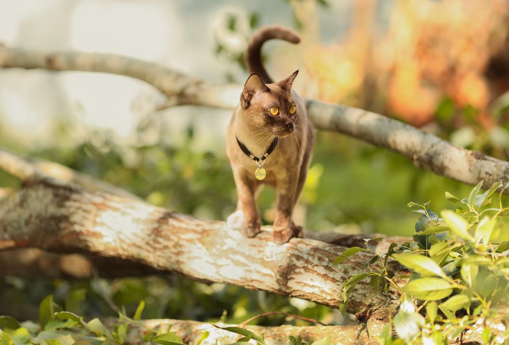 Photograph by Мария Мальцева