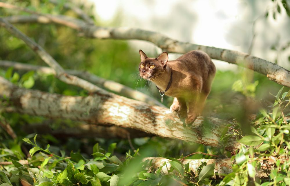 Photograph by Мария Мальцева