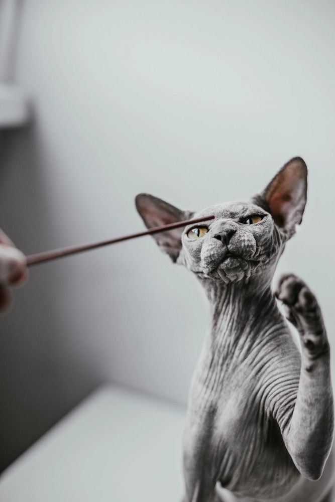 Photograph by Светлана Реунова