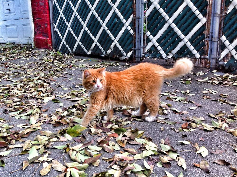 Фотография автора Olga Andriuc