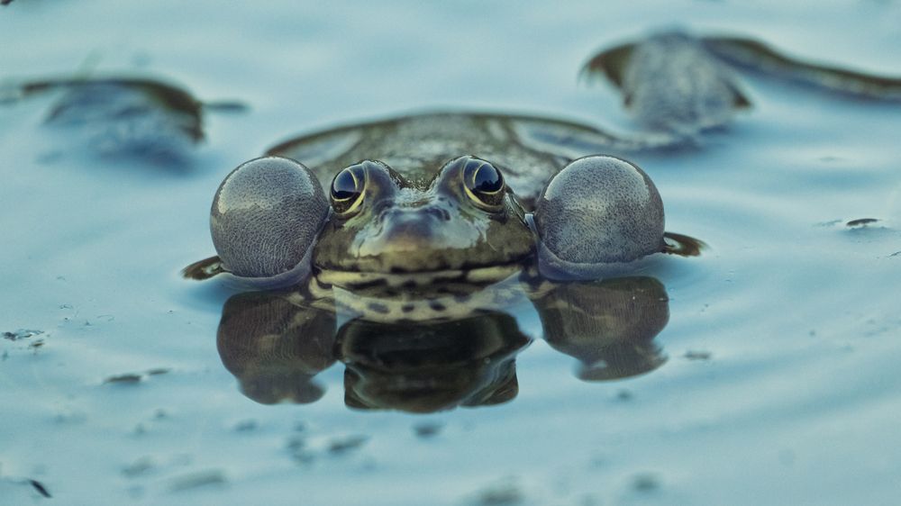 Photograph by Тамара Вотинцева