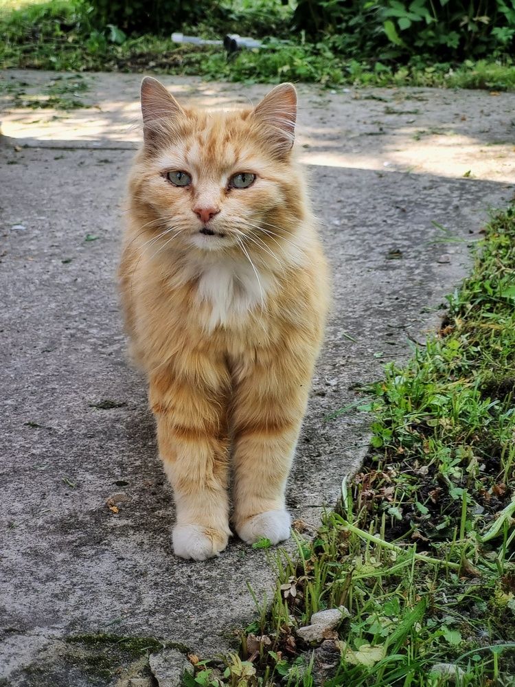 Photograph by Людмила Кухарева