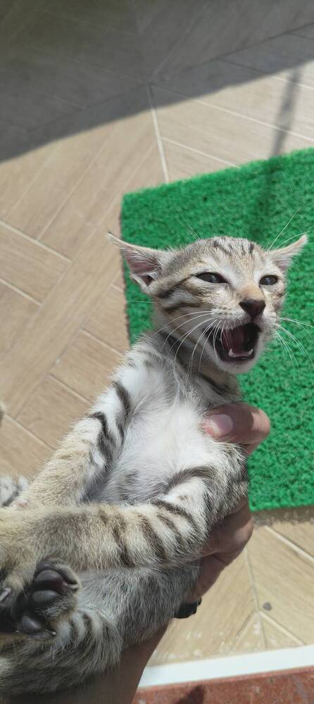 Photo #12238392