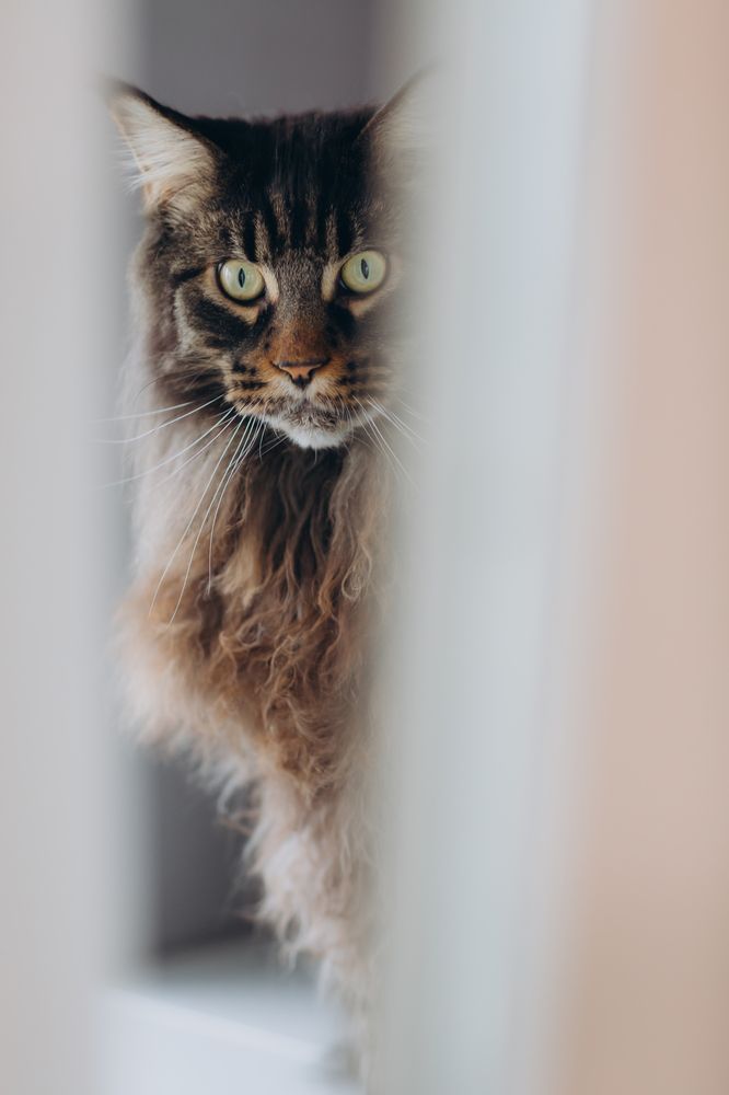 Photograph by Марина Левицкая