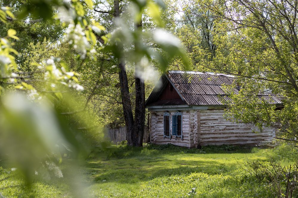 Photograph by Елена Григорьева