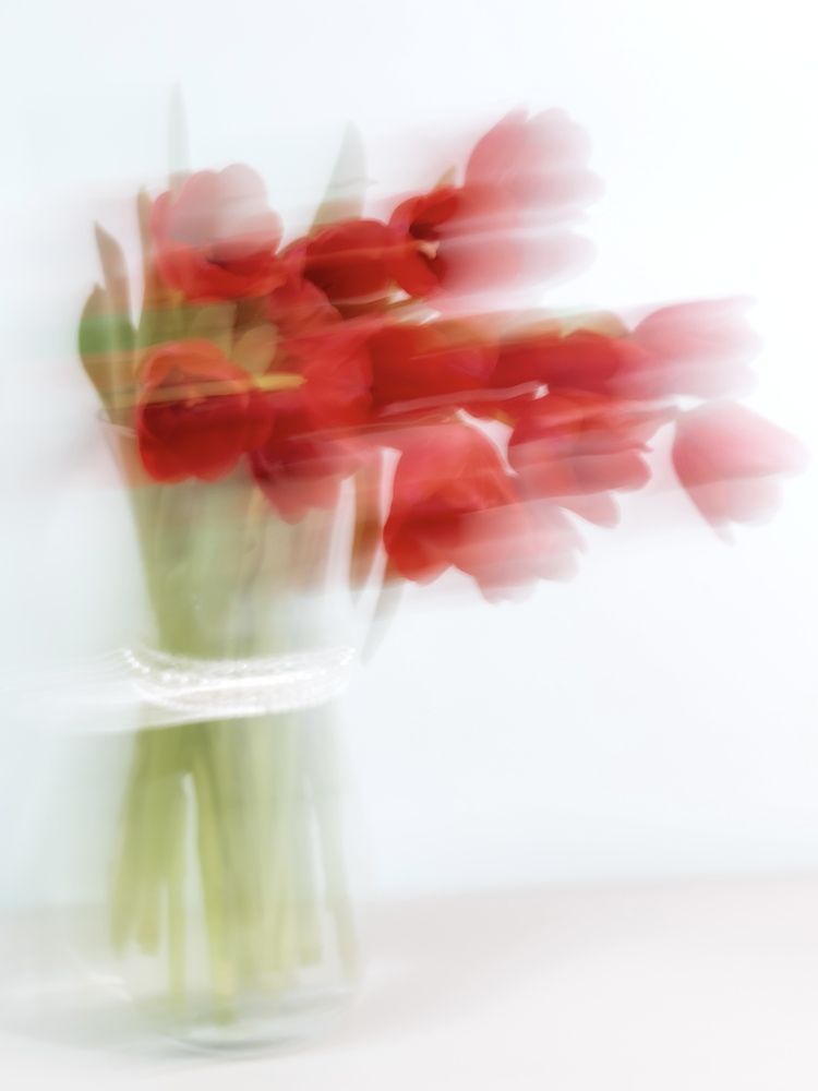 Photograph by Рина Серёгина