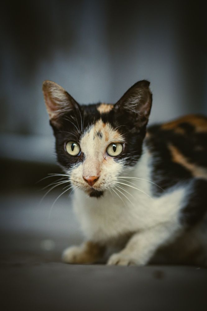 Photograph by Ghulam Hasnain