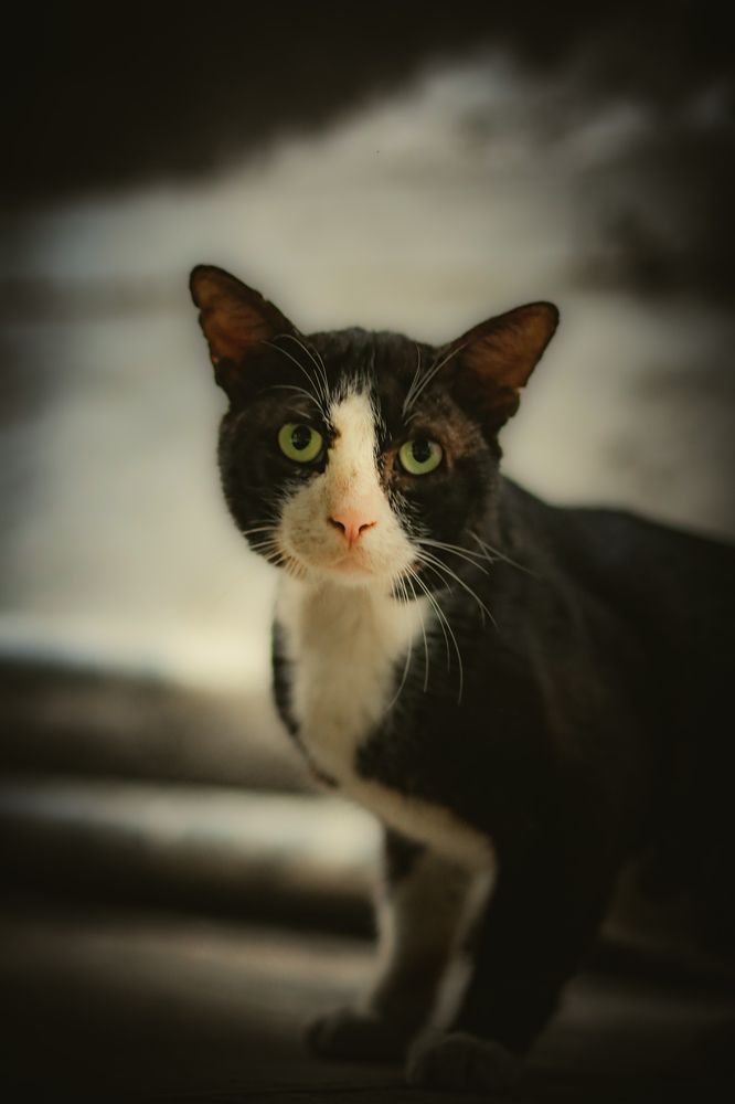 Photograph by Ghulam Hasnain