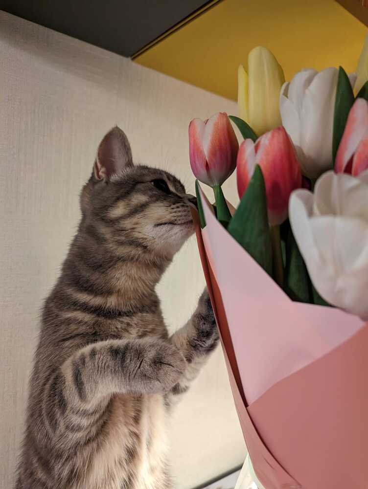 Photograph by Инесса Глухова