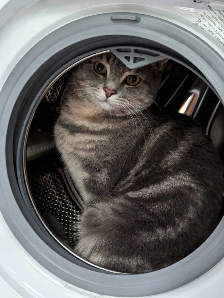 Photograph by Инесса Глухова