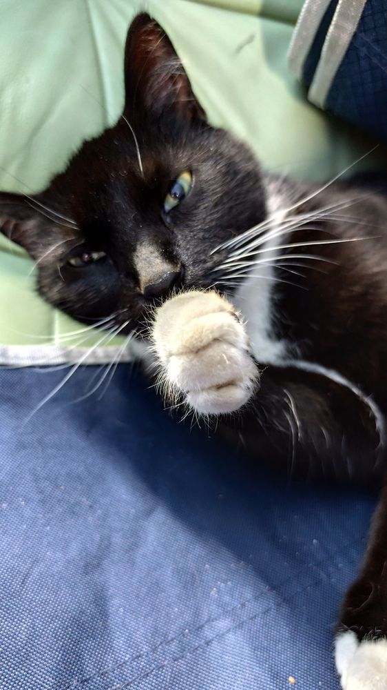 Фотография автора Татьяна Мишкина