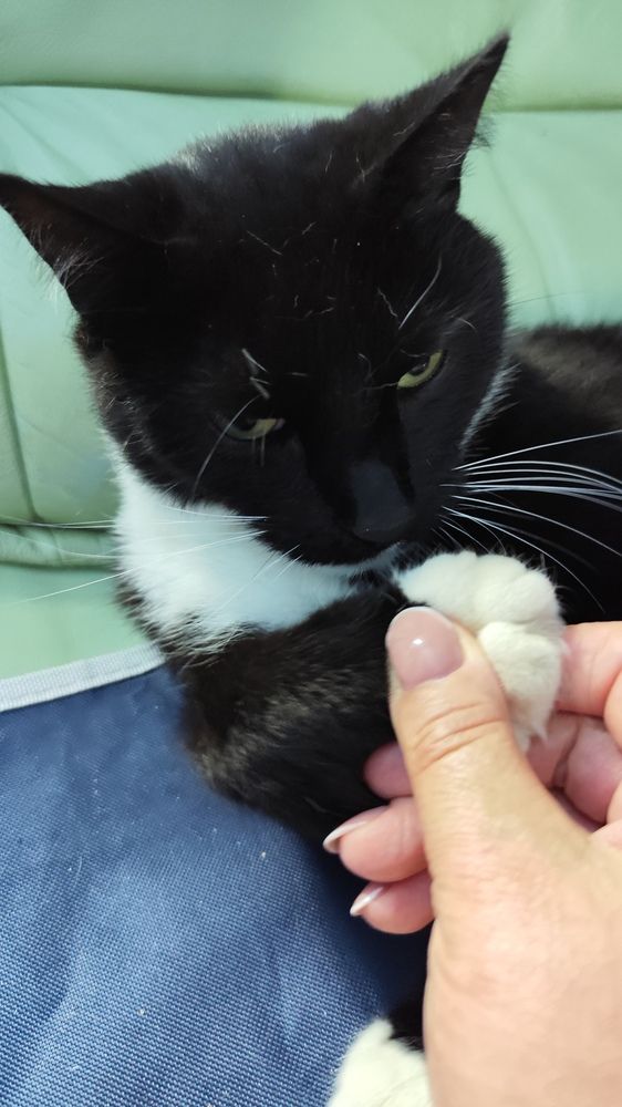 Фотография автора Татьяна Мишкина