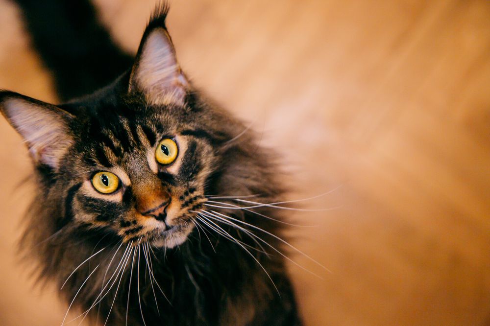 Photograph by Марина Левицкая