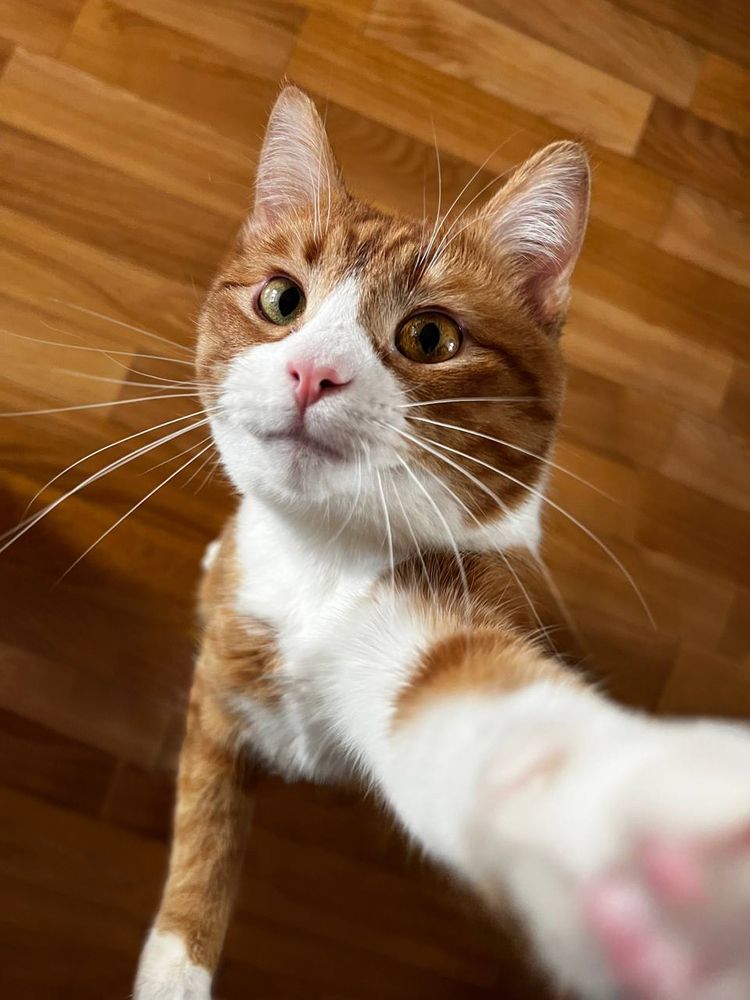 Photograph by Мария Серова