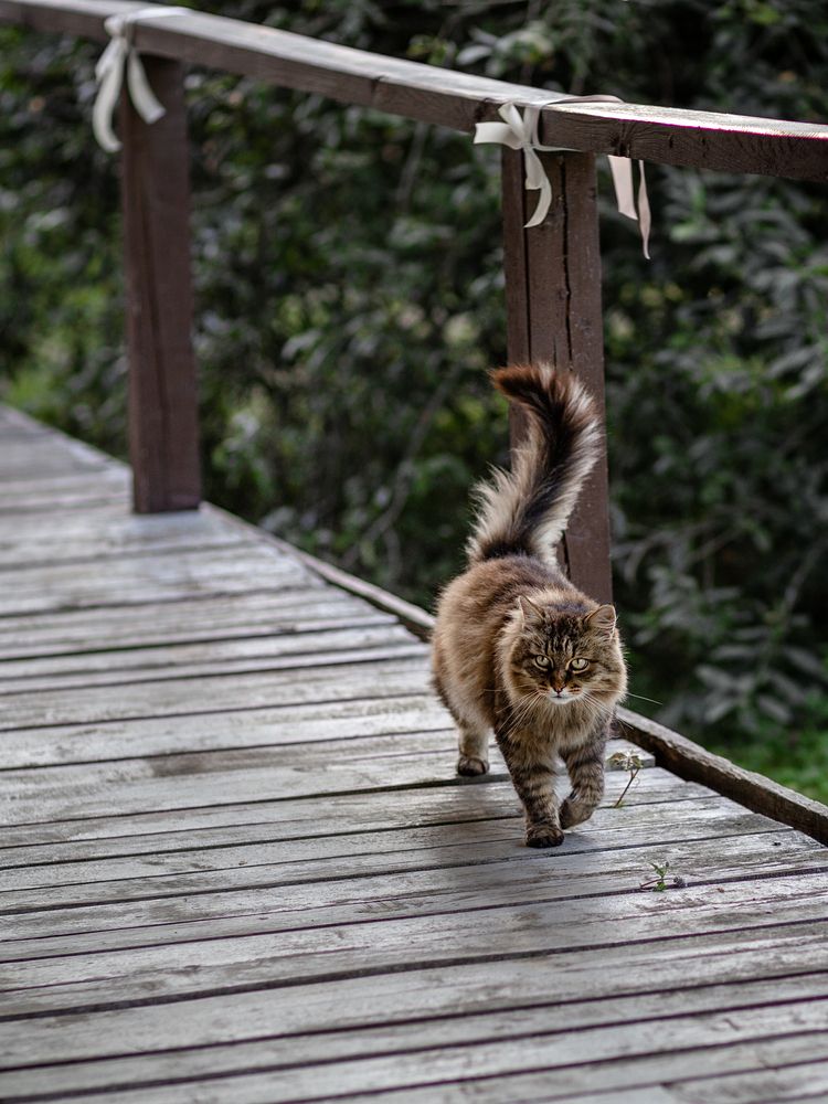 Photograph by Мария Серова