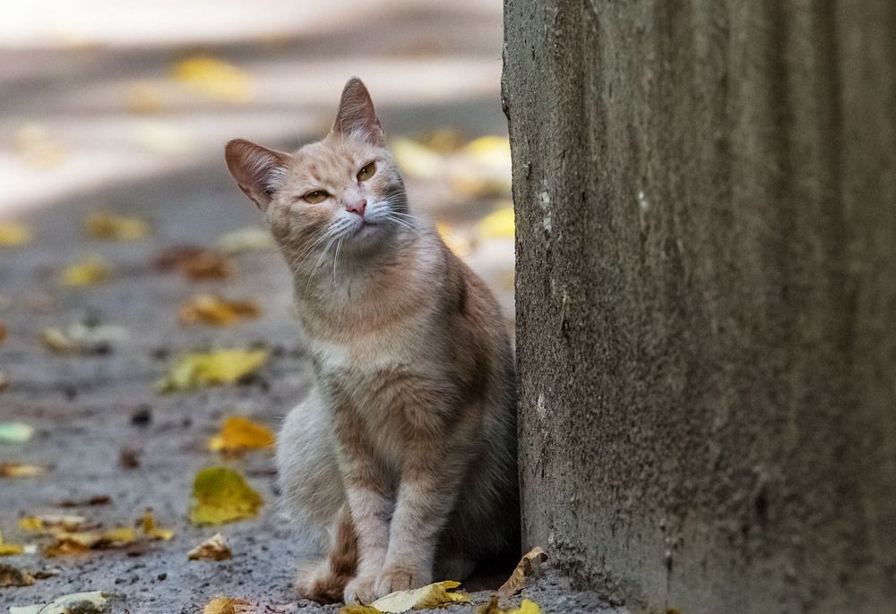 Photograph by Елена